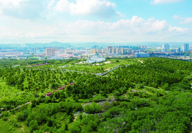 添保绿登录:企业保险服务的新选择